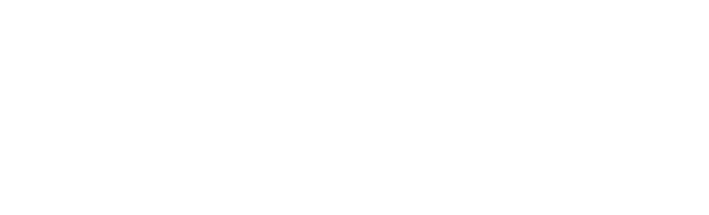 Logótipo 343